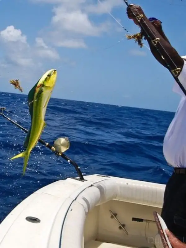 Fishing at Abaco